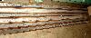  ASSELIN Type 169, 1985, 3 Meter Rotary Needleloom,